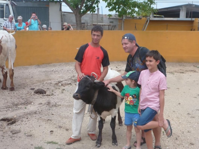  little ones taking pictures with the oxen 